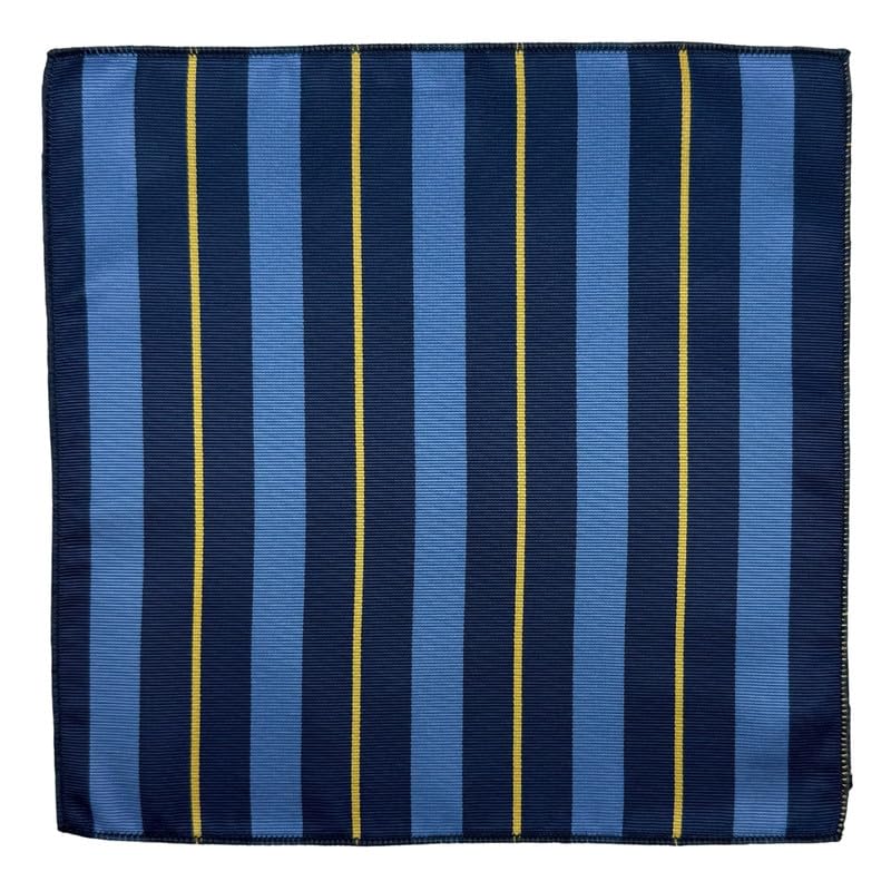the tie hub Blue & Navy Microfiber Pocket Square for Men Vertical Stripe Design-picture-13