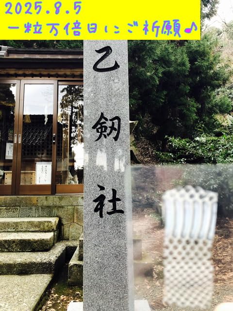 Amazon | 笑い家謹製【ご祈願！ 天然物！】白蛇の抜け殻 日本三