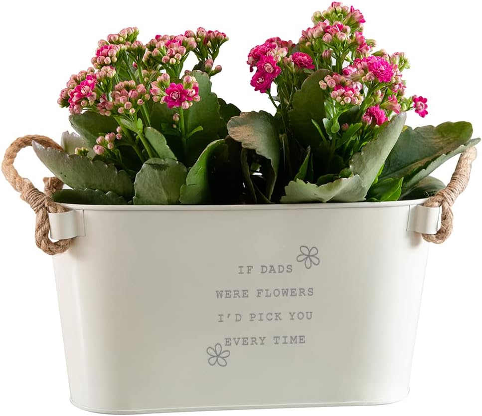 Dust and Things Engraved Flower Pot 'If Dads Were Flowers I'd Pick You', Unique Indoor Outdoor Herb Planter