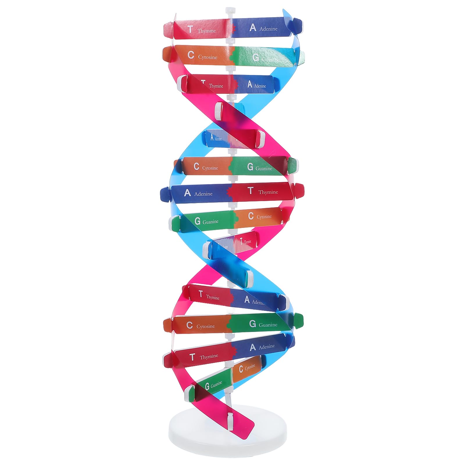 Helix Gene Model Kit Models Double Helix Model Dna Science Teaching Molecular Structure Model Gene Popularization Gene Spiral Technology Model Double Helix Structure Abs
