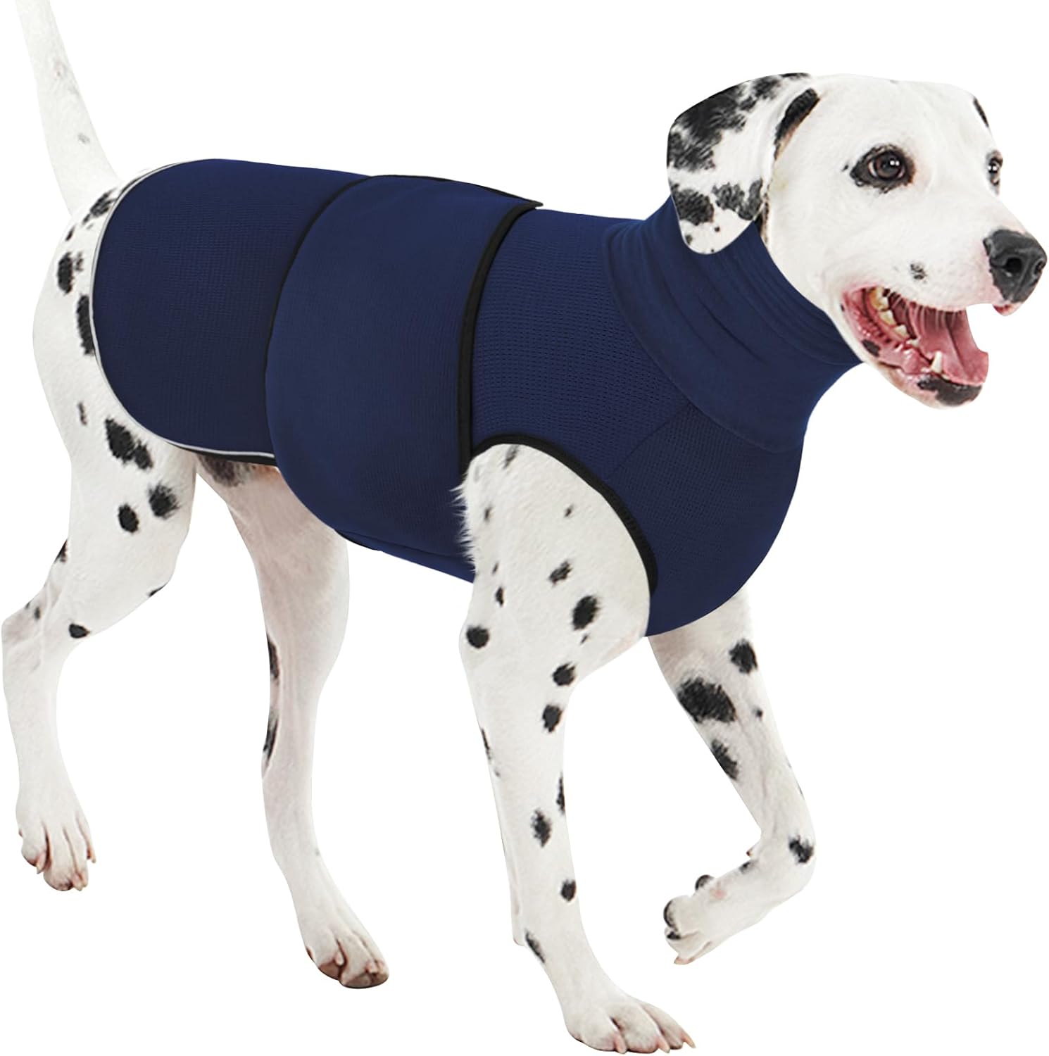 Best Anxiety Jacket For Dogs Dog Coat For Thunder Fireworks And