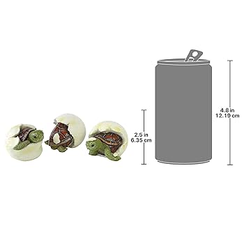 亀背に子１匹 亀の子束子1号 | たわしの元祖亀の子束子の定番サイズ