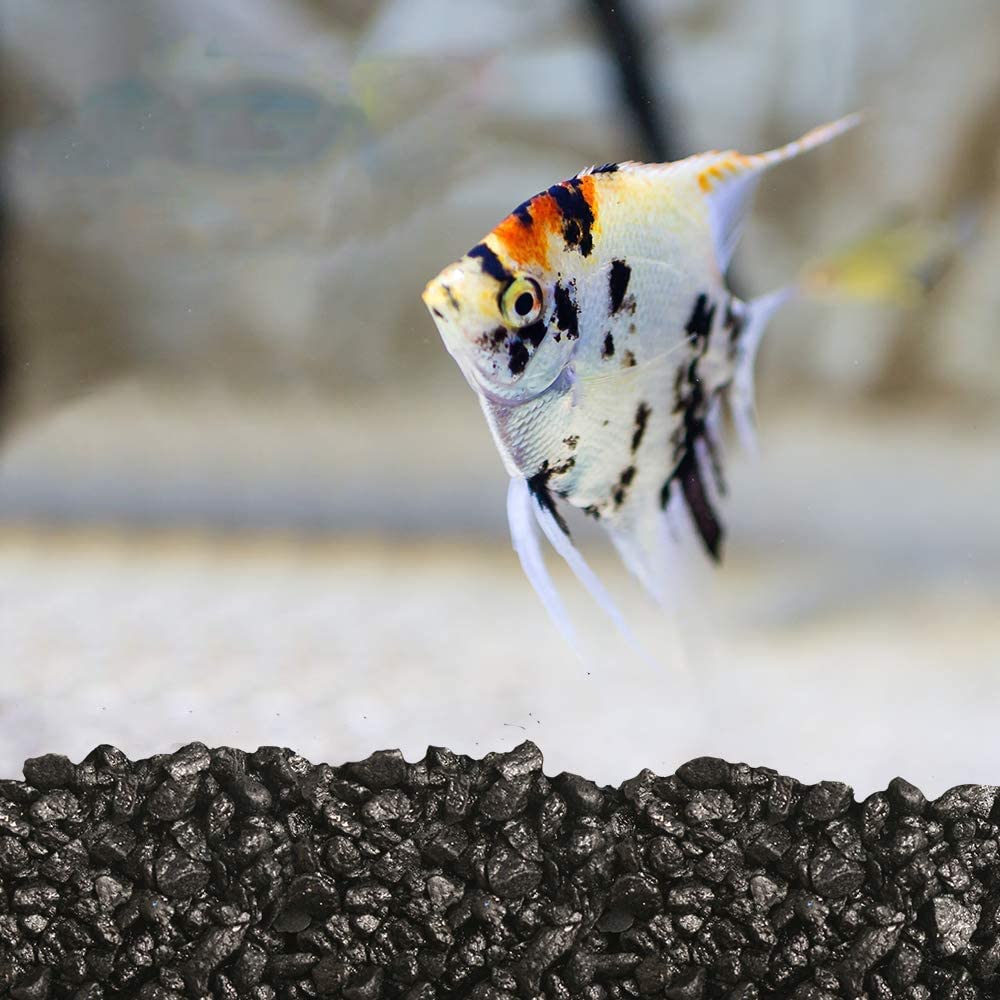 VAYINATO® Natural Medium Size Black Gravel Chips for Aquarium Gravel and Indoor Plants (3 Kg) by Petzlifeworld 1