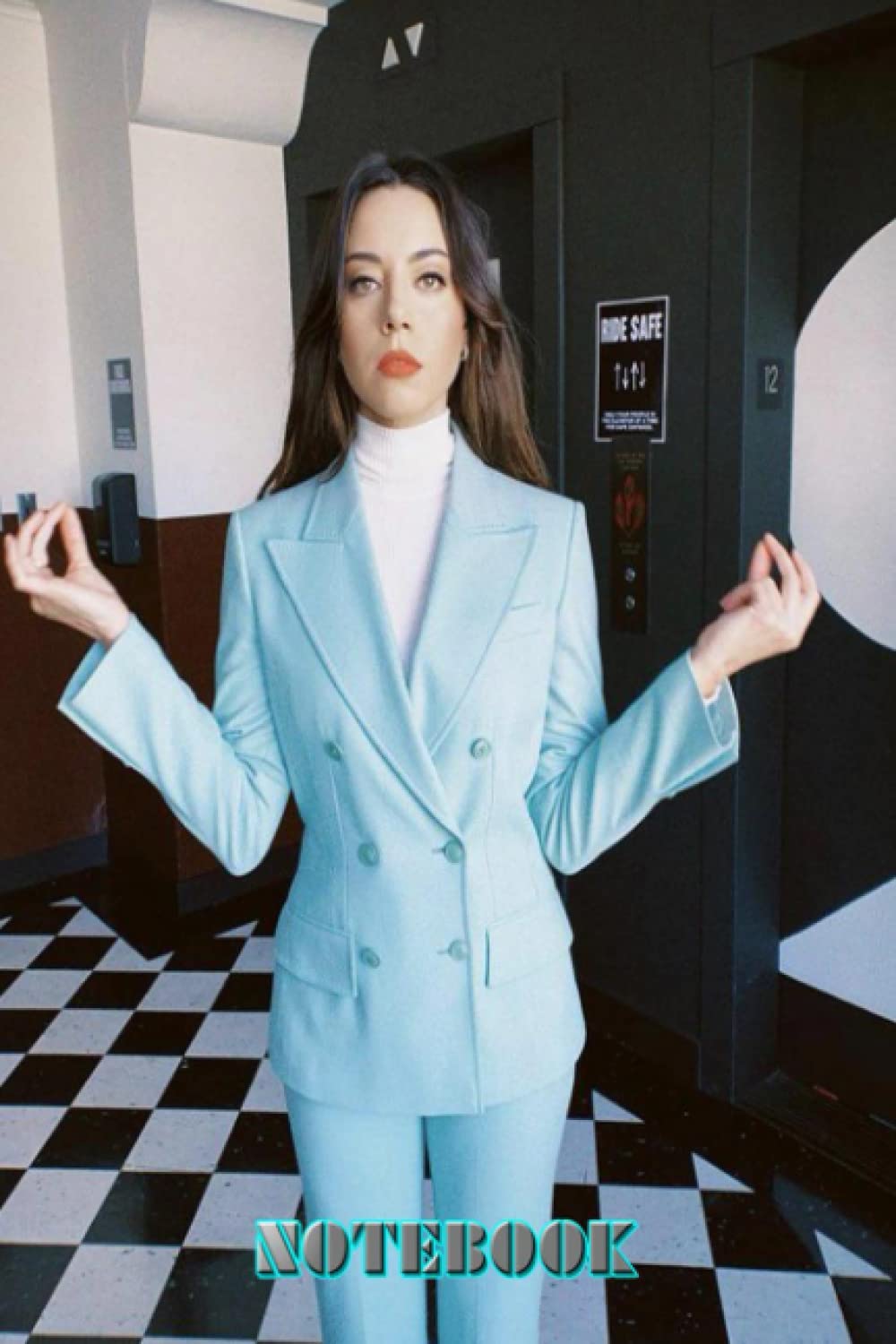 NOTEBOOK : Aubrey Plaza Day Planner Schedule Notebook 6x9inch , 100page (Thankgiving Notebook ) for School , Home or Work #144