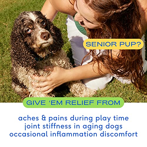 image for Native Pet Relief - Anti Inflammatory for Dogs | Turmeric + Polyphenol