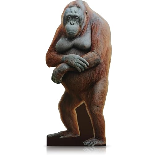 Yookeer 5.2 ft Orangutan Cardboard Stand-up Cutout Life-Size Cardboard Stand up Safari Zoo Theme Party Decoration Backdrop Photo Props for Animal Themed Baby Shower Party Supply