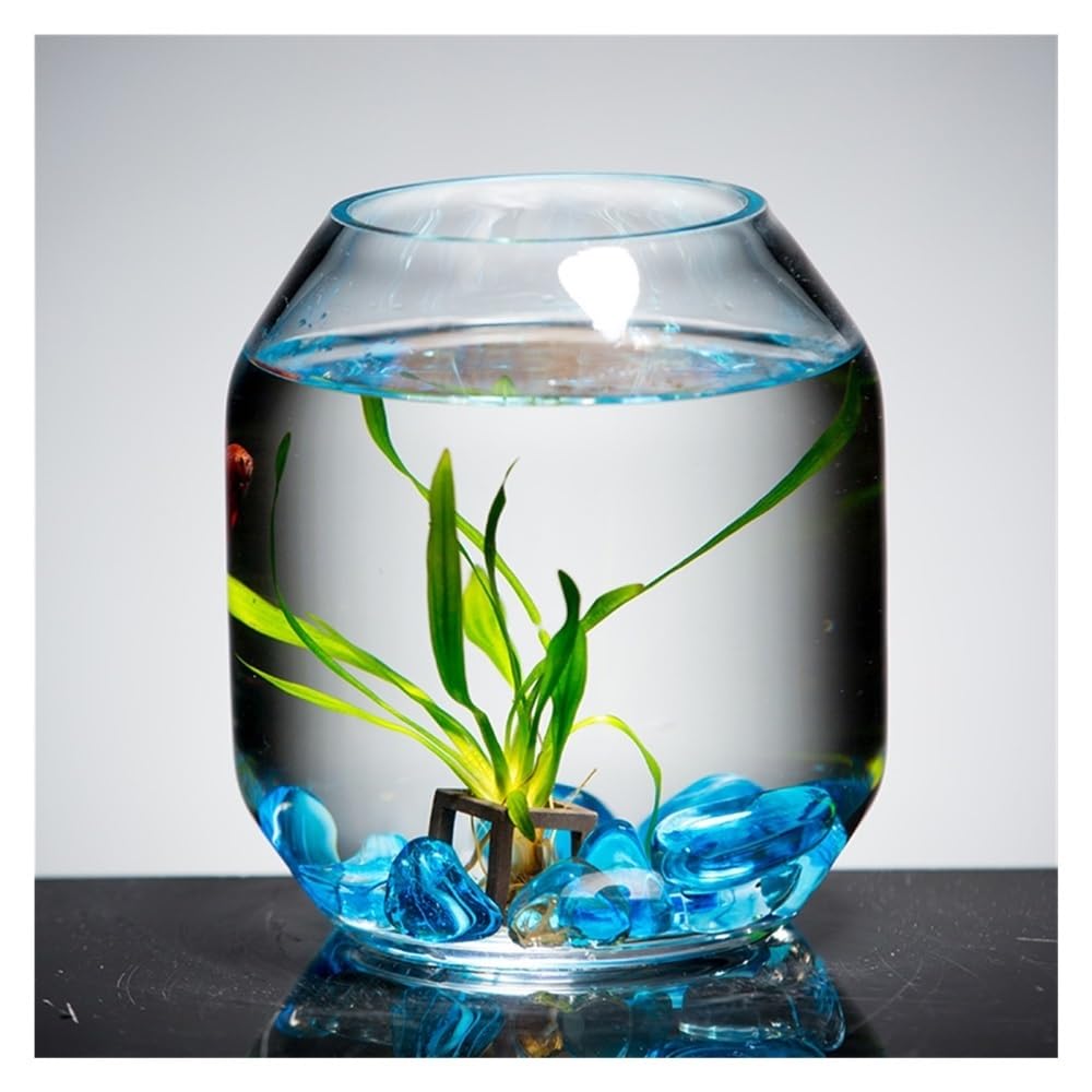 Aquarium Transparentes Glas-Aquarium, kleines Zuchtbecken, dekoratives Mini-Aquarium for Wohnzimmer, Schreibtisch oder Wohnzimmer