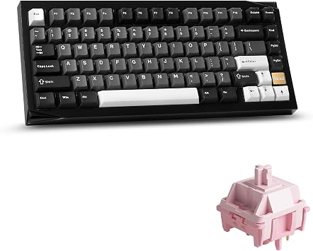 Akko Gem 01 QMK/VIA Aluminum Mechanical Keyboard Tri-Mode RGB Hot-swappable Wireless Gaming Keyboard, Black and Silver, Pre-lubed Stellar Rose Switch
