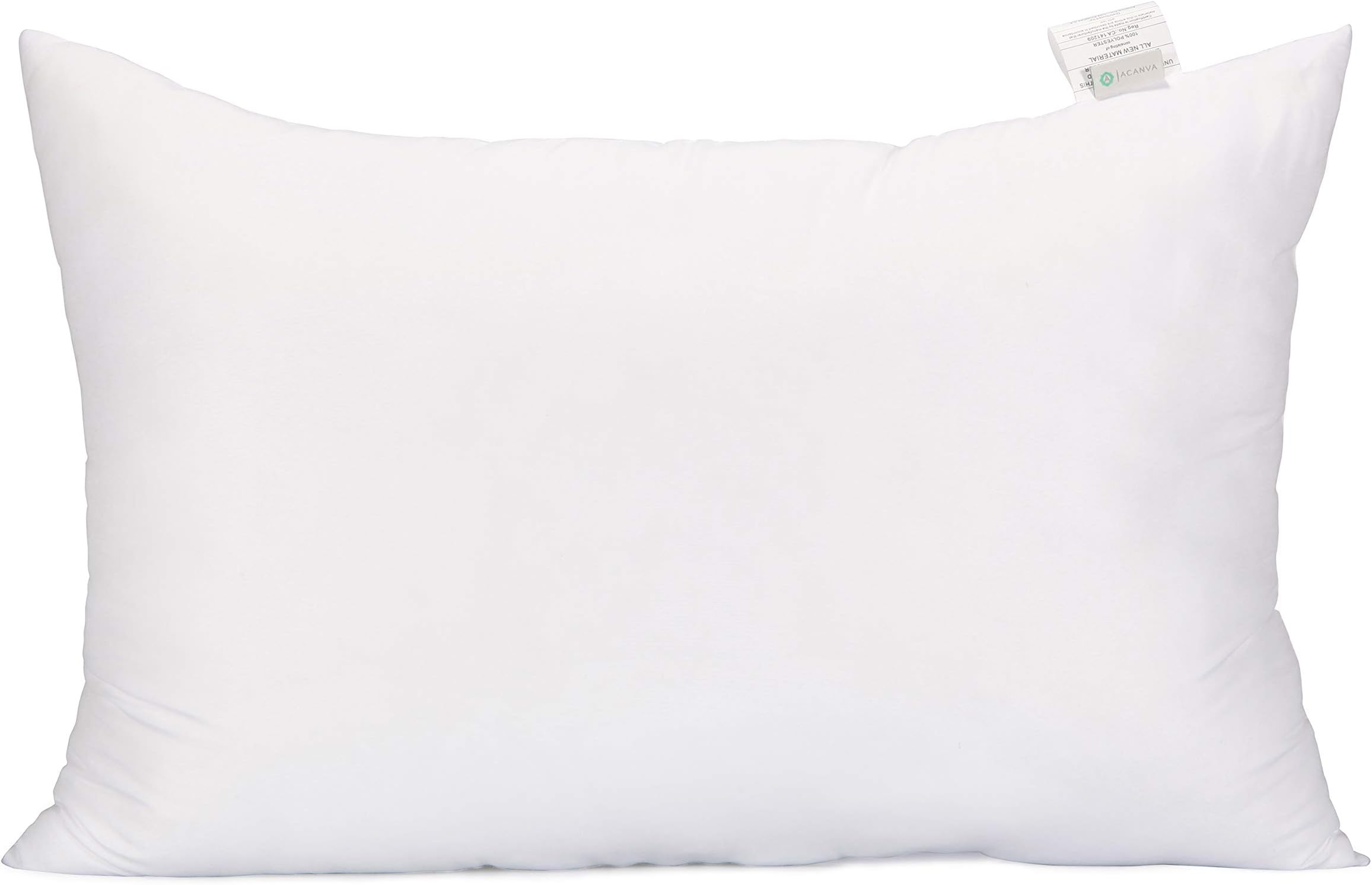 Plush Pillow Insert for Bed Sleeping Decorative Stuffer Cushion Sham Filler, Queen, 20x30 (1 Pack) White
