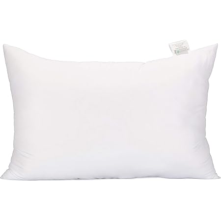 acanva pillow insert