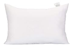 Acanva Fluffy Pillow Insert for Bed Sleeping Decorative Stuffer Cushion Sham Filler Queen 20x30 Pack of 1 White