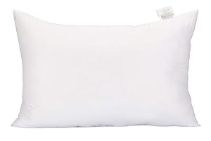 Acanva Fluffy Pillow Insert for Bed Sleeping Decorative Stuffer Cushion Sham Filler Queen 20x30 Pack of 1 White