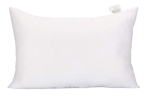 Acanva Fluffy Pillow Insert for Bed Sleeping Decorative Stuffer Cushion Sham Filler Queen 20x30 Pack of 1 White