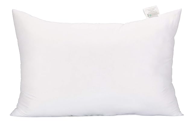 Acanva Fluffy Pillow Insert for Bed Sleeping Decorative Stuffer Cushion Sham Filler Queen 20x30 Pack of 1 White