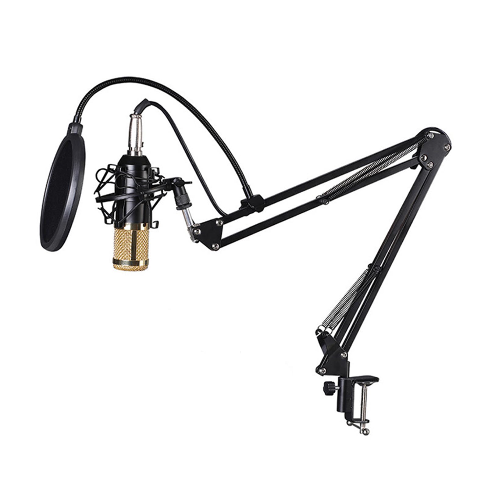 Eujgoov Intelligentes Soundkarten- und Mikrofon-Kit, ABS-Stahl, 12 Soundoptionen, Live-Streaming, Ideal für Podcaster und Musiker (Schwarz und Gold)