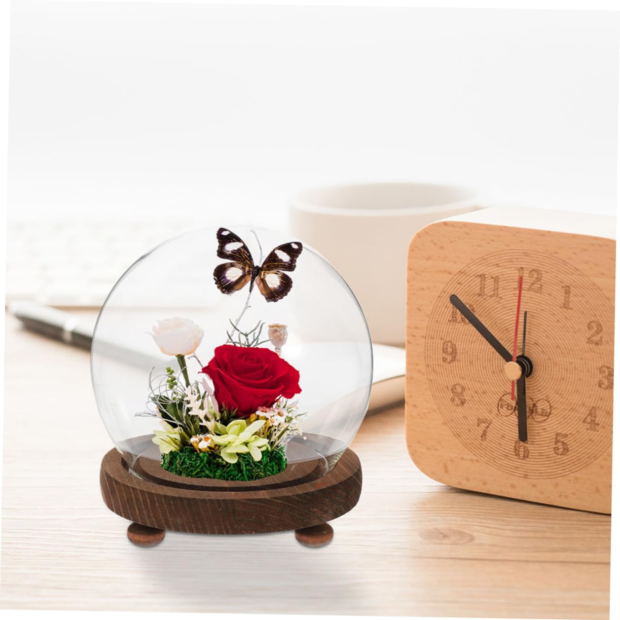 Cabilock Elegante Vaso A Campana in Con Cupola Espositore Floreale Copertura Per Piante Sfere Di Neve Terrario in Con Coperchio Decorazione Per La Casa