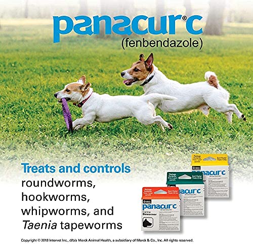 Panacur C Canine Dewormer Dogs 1 (3 Packets) Gram Each Packet Treats 10 Lbs thumb #4
