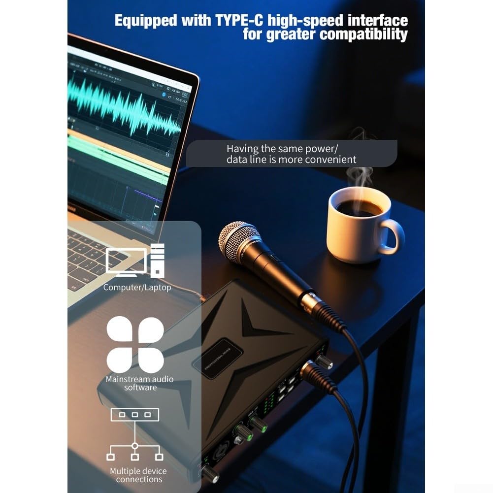 Scheda audio USB Interfaccia Audio 2 In 2 Out con Alimentazione 48V per Studio Per La Registrazione Microfoni A Condensatore Strumenti XLR 6.35mm Connettività