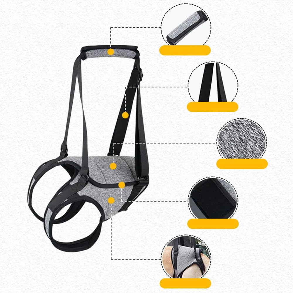 Arnés De Apoyo para Patas Traseras,Arnes de Transporte para Perros, Arnés de Elevación para Perros,Transpirables Acolchadas Ajustables,Impermeable,para Mascotas Y Rehabilitación Correas(XL,Gris)