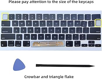 61WMoxrYBoL._AC_UF350,