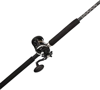 Penn Rival II Level Wind Conventional Reel and Fishing Rod Combo