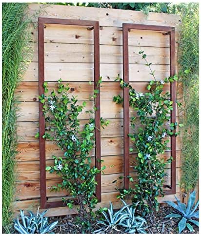 Ina Wall Trellis Large (Oxide) - Terra Trellis - Terra Trellis