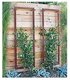 Ina Wall Trellis Large (Oxide) - Terra Trellis - Terra Trellis