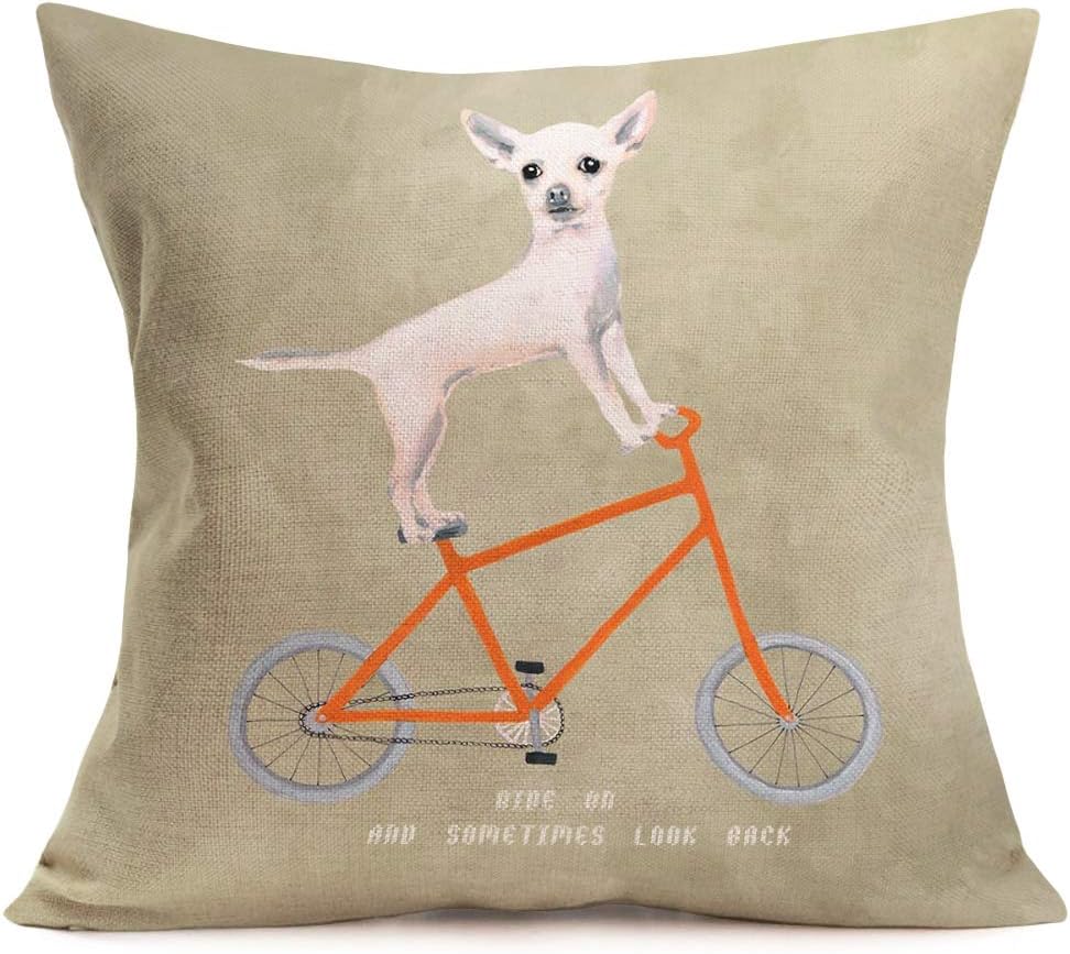 chihuahua throw pillows