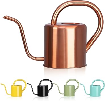 Watering Can, Stainless Steel Watering Can for Indoor & Outdoor Plants, 1L/35oz Long Spout Water Can with Handle, Rust-Proof