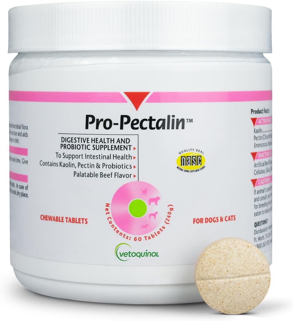Vetoquinol Pro-Pectalin - Supports Digestive System & Stool Firmness for Dogs & Cats - Chewable Probiotic Supplement for Intestinal Support - For All Breeds - 60 Count