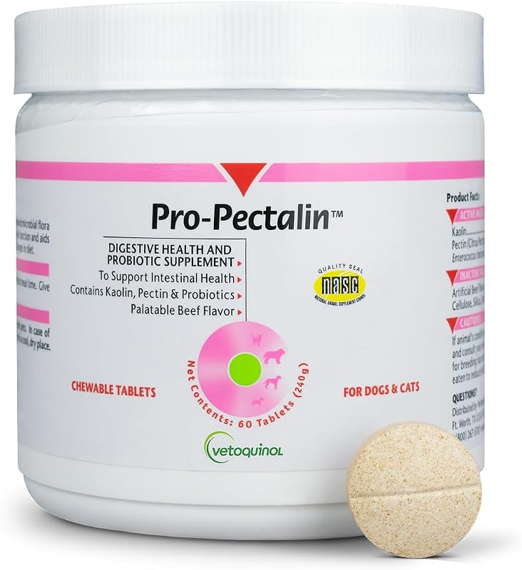 Vetoquinol Pro-Pectalin - Supports Digestive System & Stool Firmness for Dogs & Cats - Chewable Probiotic Supplement for Intestinal Support - For All Breeds - 60 Count