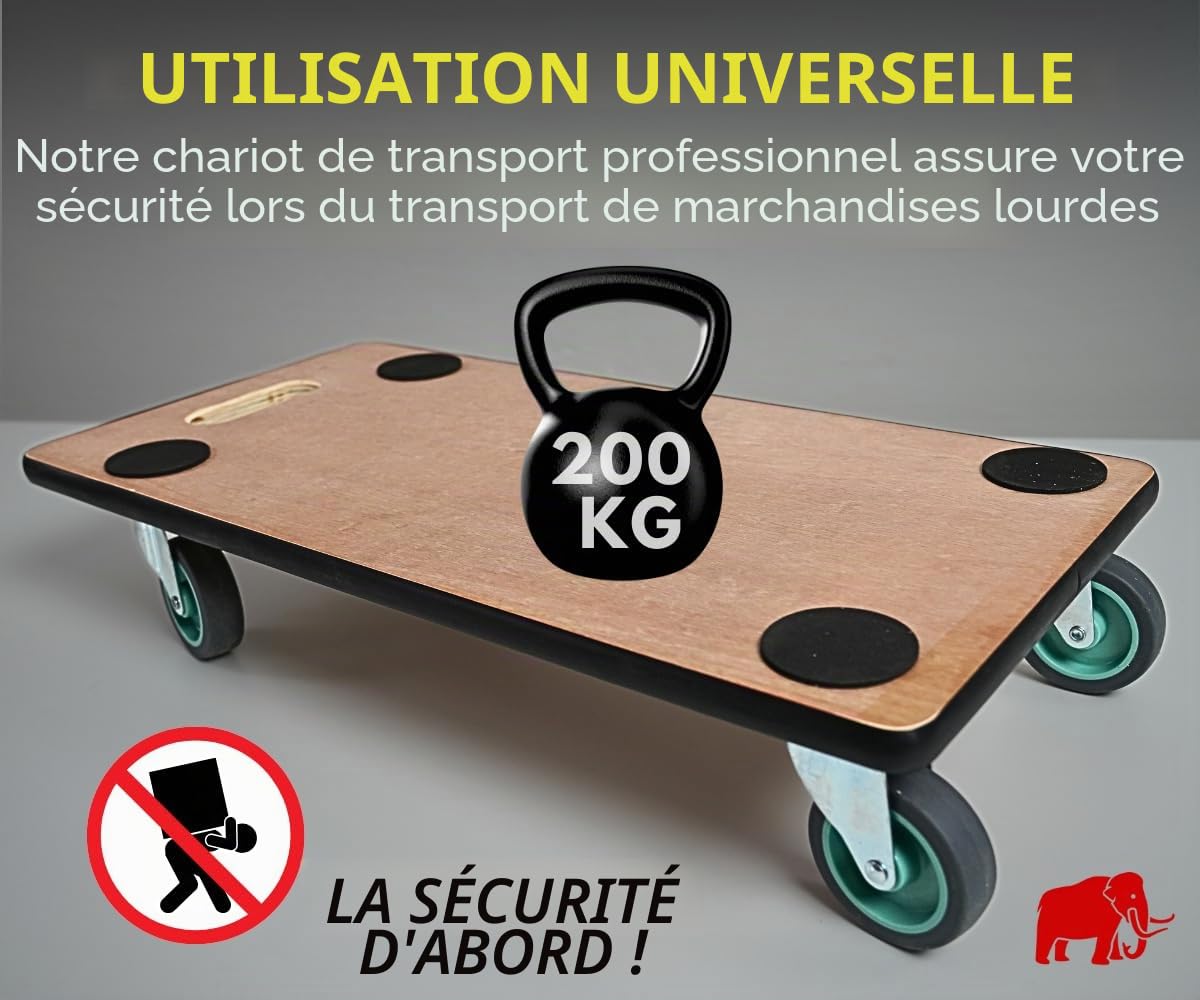 PROREGAL Profi Plateau Roulant Hercules Charge Lourde 30x60cm Capacité de Charge 200kg 4 roulettes en Caoutchouc & poignée Contreplaqué 2 pièces pour Meuble, Plante & demenagement