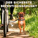 Hunde Fahrradleine und Hundegeschirr, Geschirr mit seitlichen Ringen, inklusive 2 speziellen Fahrrad-Kabelbindern. Patentiert. (Schwarz, L)
