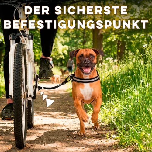 Hunde Fahrradleine und Hundegeschirr, Geschirr mit seitlichen Ringen, inklusive 2 speziellen Fahrrad-Kabelbindern. Patentiert. (Schwarz, L)