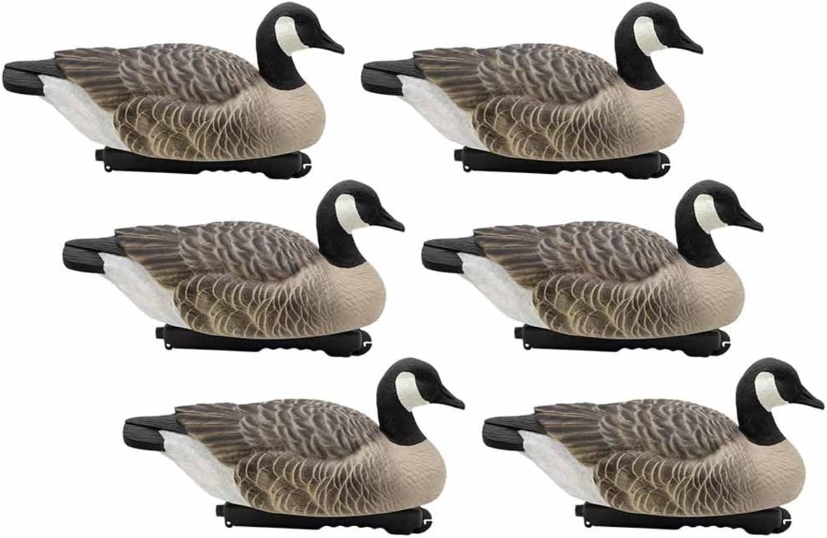 Last Pass Canada Goose Floater Decoys, 6 Pack