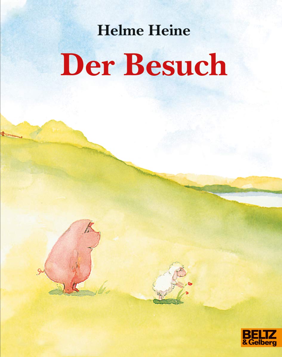 Der Besuch: Vierfarbiges Bilderbuch