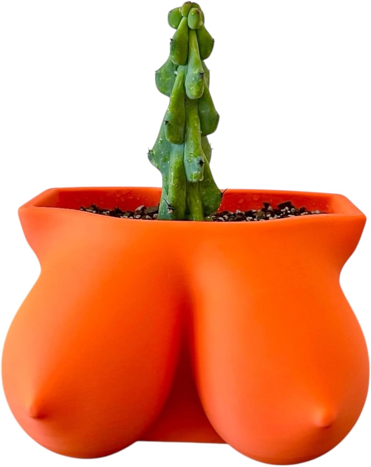 3D Printed Boobie Planter Pot, Unique Female Body Pot with Drainage Hole, Perfect for Indoor Plants, Ideal Feminist Gift, Mother’s Day (Orange)