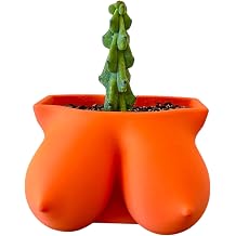 3D Printed Boobie Planter Pot, Unique Female Body Pot with Drainage Hole, Perfect for Indoor Plants, Ideal Feminist Gift, Mothers Day Orange