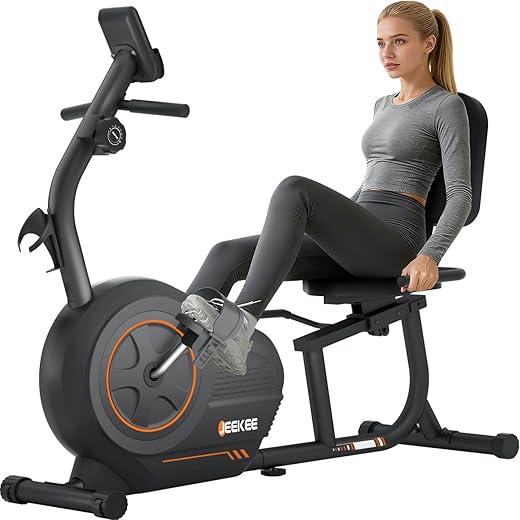 JEEKEE Recumbent Exercise Bike for Seniors,Stationary Bikes for Home, 300LB Capacity & 16 Levels Magnetic Resistance, Heart Rate Handle