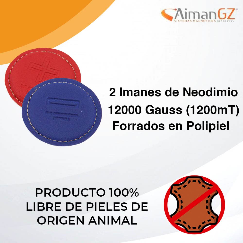 Par Biomagnético Mini Dr. Goiz - 2 Imanes Neodimio N35 (12000 Gauss) - Biomagnetismo Profesional de Precisión - Fabricado a Mano en España para Zonas Pequeñas, Cara y Manos -