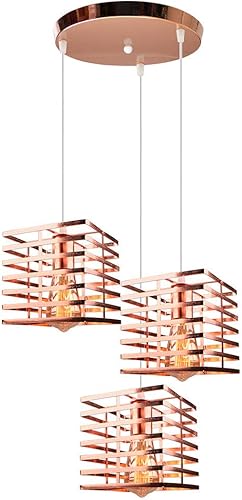 Vintage Industrial Style Adjustable Hanging Light Fixture for Café, Loft, Conference Room, Hotel - Elegant Metal Cage Design(B2)