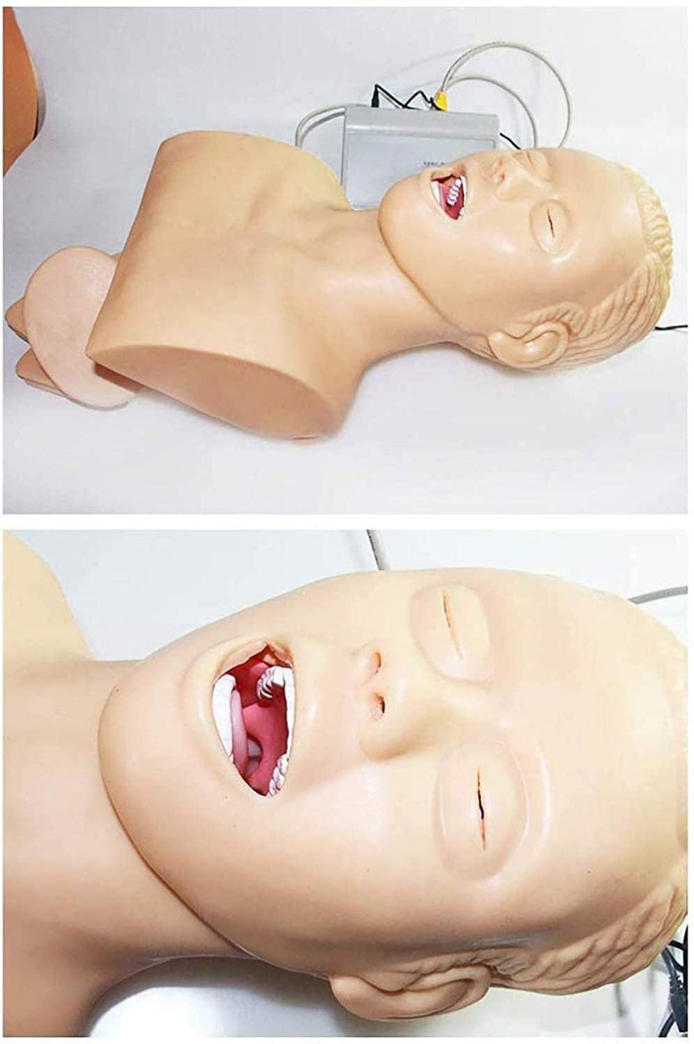 Istruttore per la gestione delle vie aeree, simulatore di manichino per intubazione nasale orale per addestramento medico, modello di studio di insegnamento, testa di intubazione per
