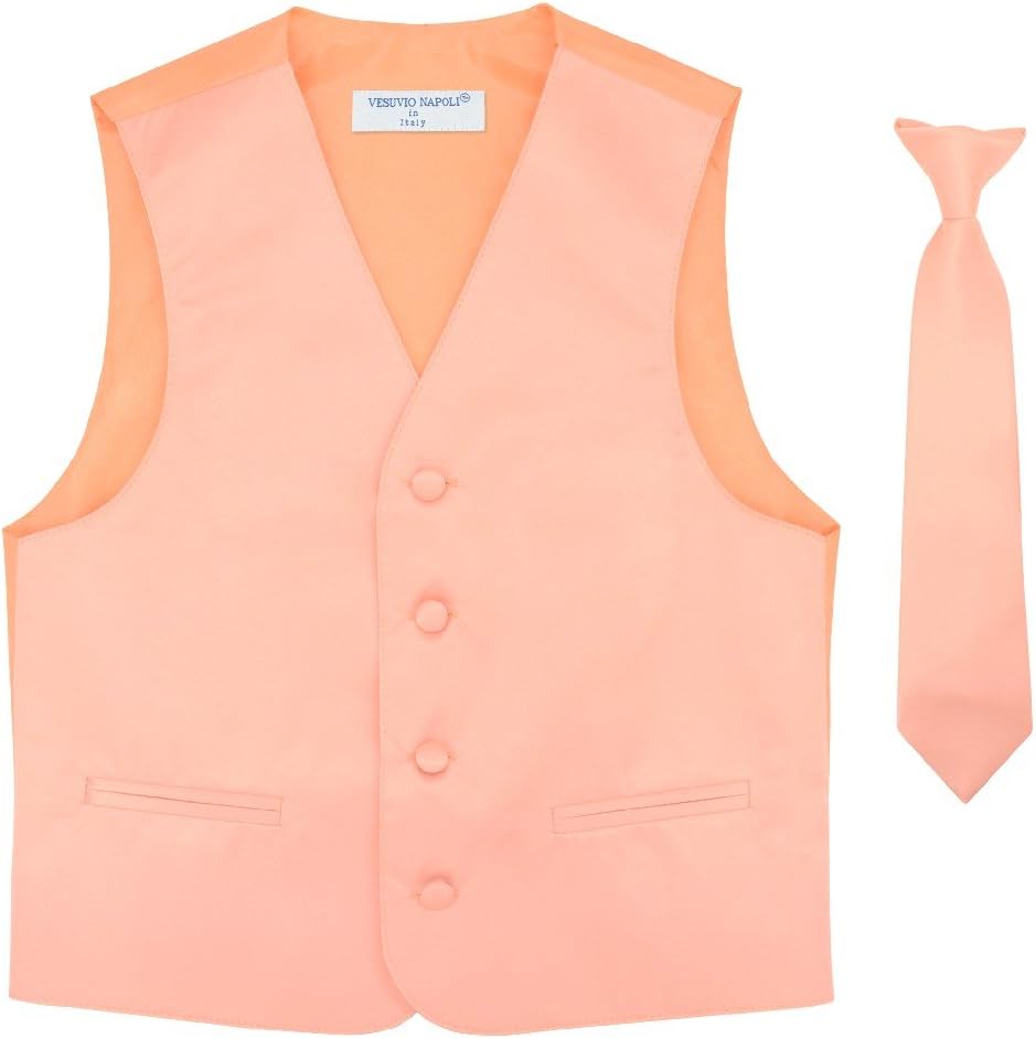 Vesuvio Napoli BOY'S Dress Vest & NeckTie Solid PINK Color Neck Tie Set
