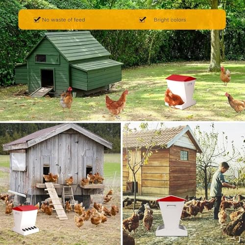 Comedero automático para pollos, comedero de aves de corral de 10 agujeros para exteriores con tapa de acero inoxidable para una cómoda alimentación bajo demanda, ideal para criar bantamos, faisanes