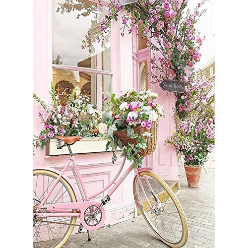 Lxmsja Diamond Painting Kits for Adult, Square Full Drill Diamond Art, DIY 5D Diamond Painting Flower Door Diamond Painting for Beginners,Painting by Number Kit for Home Wall Decor Bike 15.7X19.7inch