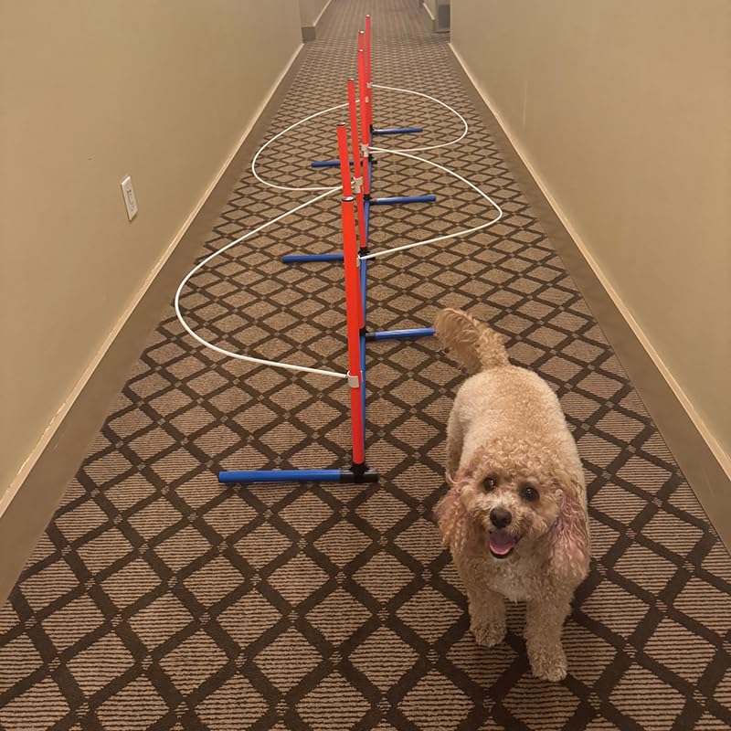 Dog Agility Weave Pole Guides – Training Aids for Fast, Accurate Weaving | Easy Snap-On PVC Guide Wires for Dog Agility Competition & Practice, 66″ Long Guides, Set of 4 - image 2