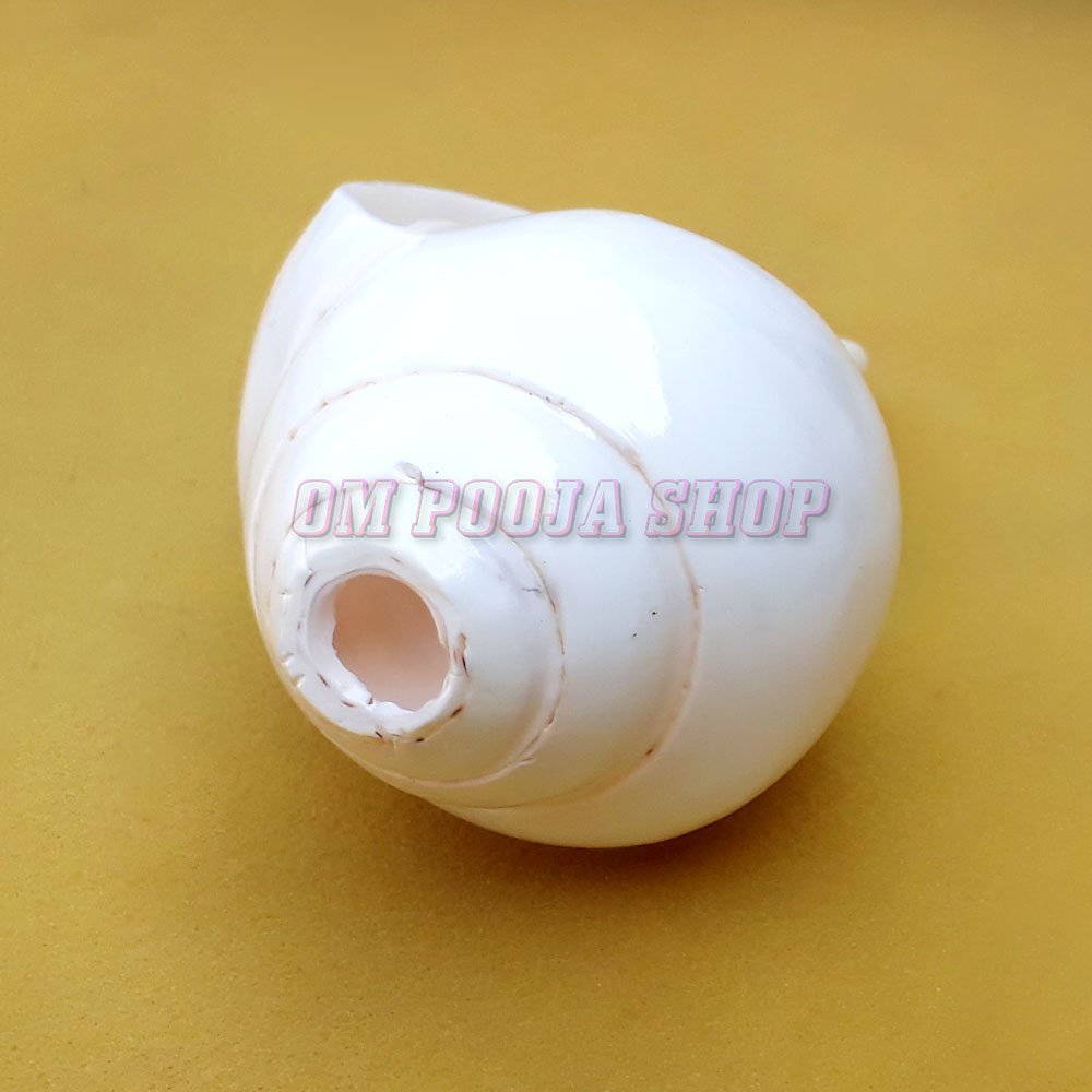 Om Pooja Shop Original Blowing (Bajane Wala) Shankh - 4 to 4.5 inches