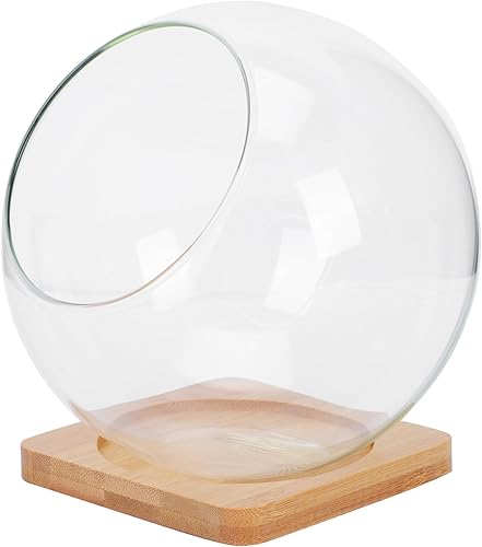 Miniatura 1 de GANAZONO Maceta de cristal transparente para suculentas, con parte inferior plana, exhibición de terrario, soporte para velas para decoración del