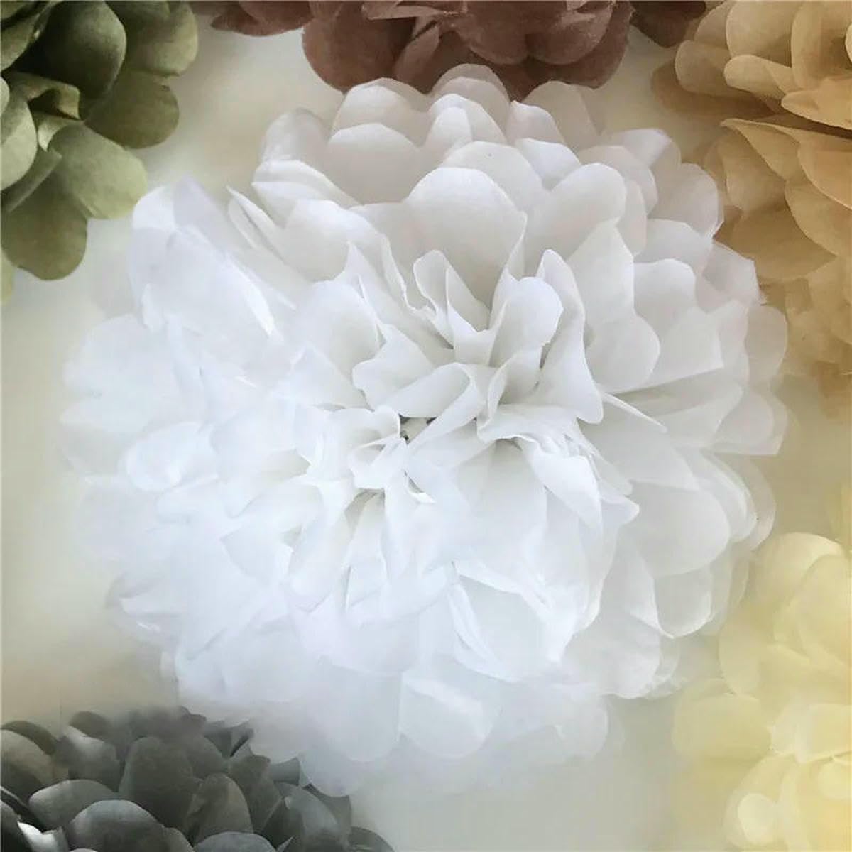 AYHTUD 5pcs 4 6 8 10 12 Inch Tissue Paper Pom Pom Poms Wedding Party Paper Pompom Flower for Wedding Decoration Pompoms Birthday Baby-white-4 inch 10cm