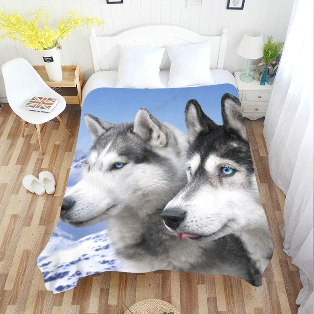 Buy Moslion Soft Cozy Throw Blanket Black White Siberian Husky Pet Friend Fuzzy Warm Couch Bed Blanket For Adult Youth Polyester 60 X 80 Incheshome Travel Camping Applicable Online In Taiwan B07l1dl765